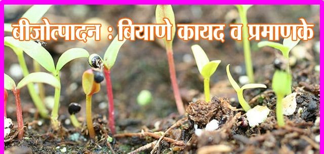 बिजोत्‍पादन : बियाणे कायदा व प्रमाणके