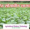 सुधारित सोयाबीन लागवड तंत्र