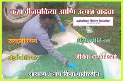 करा बीजप्रक्रिया आणि उत्पन्न वाढवा