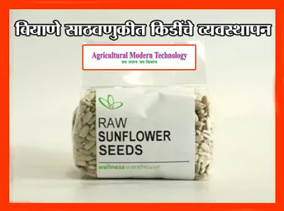 बियाणे साठवणुकीत किडींचे व्यवस्थापन