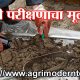 माती परीक्षणाचा मूलमंत्र