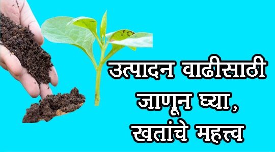 उत्‍पादन वाढीसाठी जाणून घ्‍या खतांचे महत्‍त्‍व