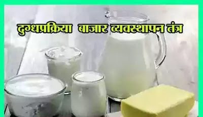 दुग्धप्रक्रिया बाजार व्यवस्थापन तंत्र