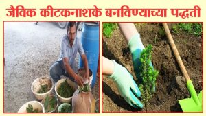 जैविक कीटकनाशके बनविण्याच्या पद्धती