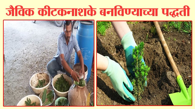 जैविक कीटकनाशके बनविण्याच्या पद्धती