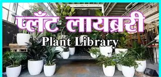 प्लँट लायब्ररी - Plant Library