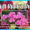 फुलांची विक्री व निर्यात
