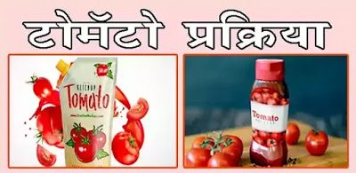 टोमॅटो प्रक्रिया
