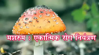 मशरूम : एकात्मिक रोग नियंत्रण