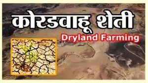 कोरडवाहू शेती- Dryland Farming