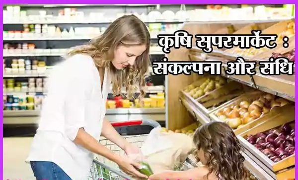 कृषि सुपरमार्केट : संकल्पना और संधि