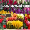 फुलांची प्रतवारी करण्याचे व्यापारी तत्त्वे