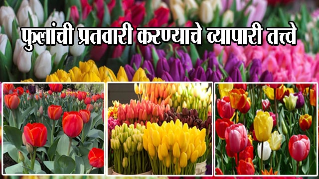फुलांची प्रतवारी करण्याचे व्यापारी तत्त्वे