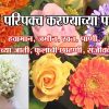 फुले परिपक्व करण्याच्या पद्धती