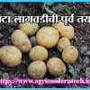 बटाटा लागवडीची पूर्व तयारी