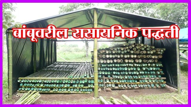 बांबूवरील रासायनिक पद्धती
