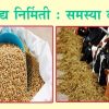 पशुखाद्य निर्मिती : समस्या व उपाय