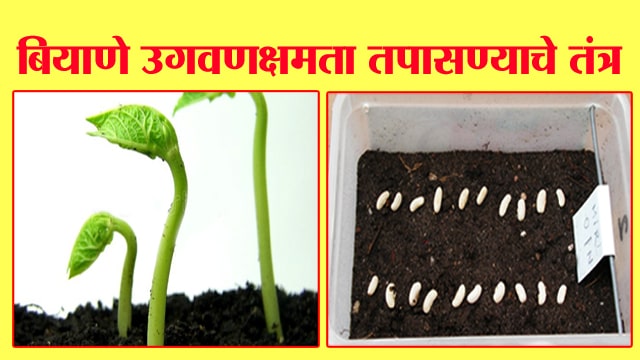 बियाणे उगवणक्षमता तपासण्याचे तंत्र