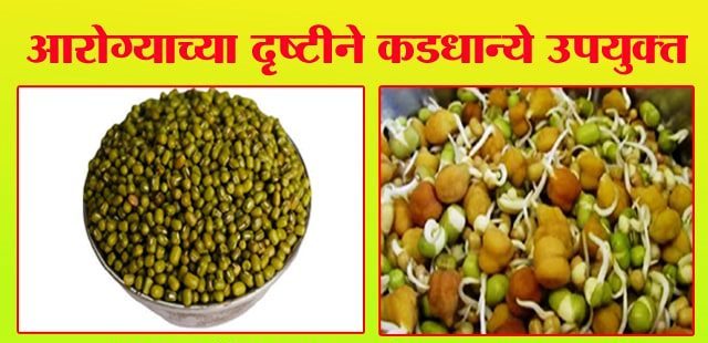 आरोग्याच्या दृष्टीने कडधान्ये उपयुक्त