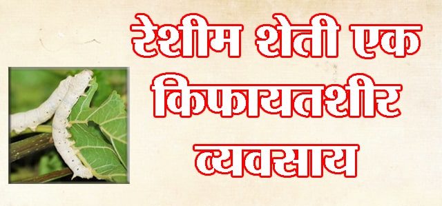 रेशीम शेती एक किफायतशीर व्यवसाय