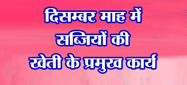 सब्जियों की खेती के प्रमुख कार्य