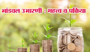 भांडवल उभारणी : महत्व व प्रकिया