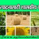चारा उत्पादनासाठी शासकीय योजना