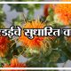 करडईचे सुधारित वाण