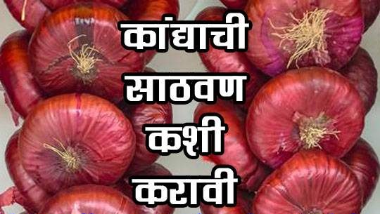 कांद्याची साठवण कशी करावी