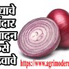 कांद्याचे दर्जेदार उत्पादन कसे घ्यावे