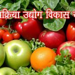खाद्यप्रक्रिया उद्योग विकास योजना