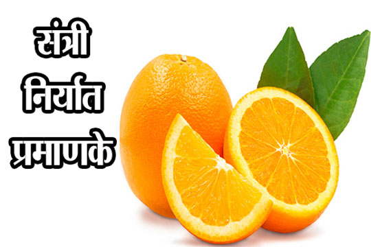 संत्री निर्यात प्रमाणके