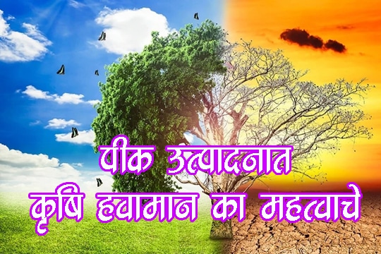 पीक उत्पादनात कृषि हवामान का महत्त्वाचे