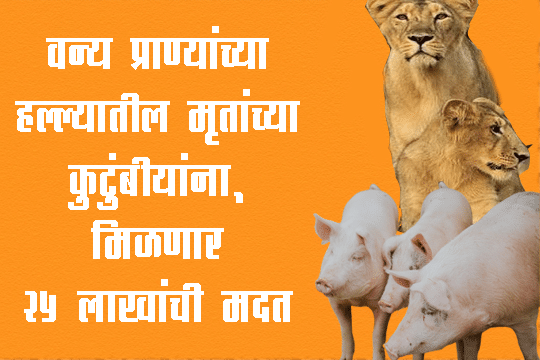 वन्य प्राण्यांच्या हल्ल्यातील मृतांच्या कुटुंबीयांना, मिळणार २५ लाखांची मदत