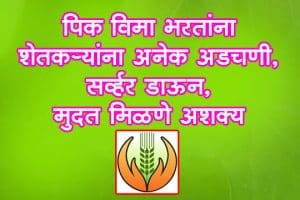 पीकविमा अर्ज भरताना शेतकऱ्यांना अडचणी, सर्व्हर डाउन