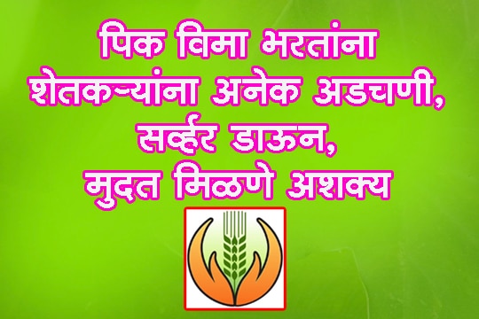 पीकविमा अर्ज भरताना शेतकऱ्यांना अडचणी, सर्व्हर डाउन