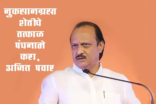 नुकसानग्रस्त शेतीचे तत्काळ पंचनामे करा, अजित पवार