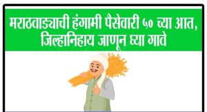 मराठवाड्याची हंगामी पैसेवारी ५० च्या आत, जिल्हानिहाय जाणून घ्या गावे