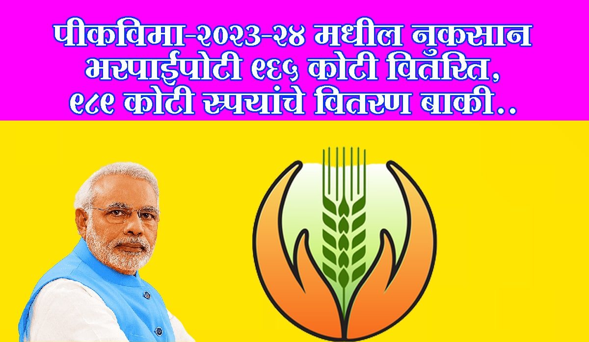 पीकविमा-२०२३-२४ मधील नुकसान भरपाईपोटी ९६५ कोटी वितरित, ९८९ कोटी रुपयांचे वितरण बाकी..