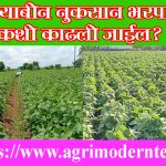 सोयाबीन नुकसान भरपाई कशी काढली जाईल ?