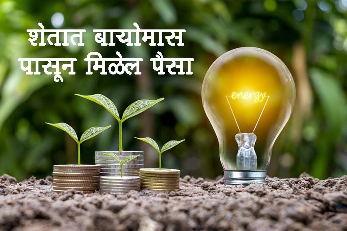 शेतात बायोमास पासून मिळेल पैसा