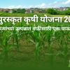 केंद्र पुरस्कृत कृषी योजना 2024: शेतकऱ्यांच्या उत्पन्नात वाढीसाठी एक पाऊल